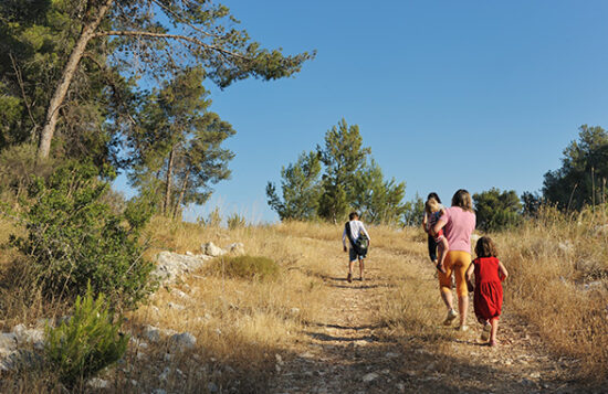 Carlsbad trails at Hosp Grove