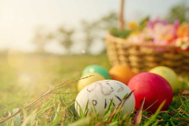 Easter eggs in the lawn with the rabbit-shaped eggs of a little girl