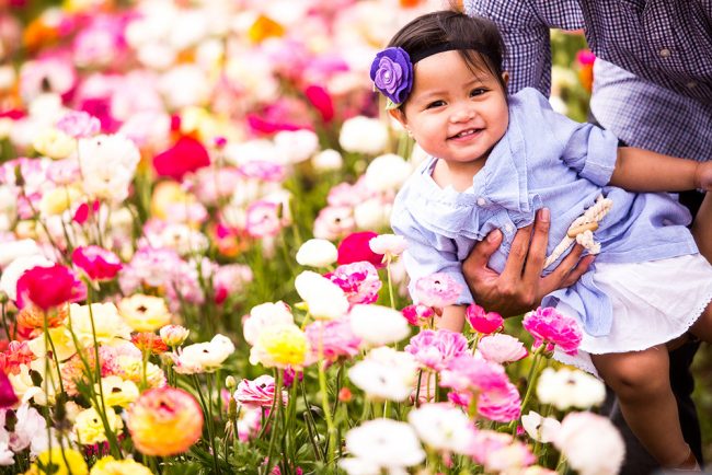 carlsbad flower fields