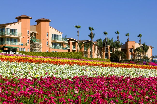 Grand Pacific Resorts, Palisades - Carlsbad, CA